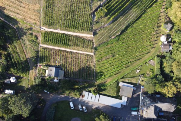 dji-0282-kinderarche-weinbergshuette-stellplatzED3D0C42-7E56-9AD7-0AD2-341959DB727B.jpg