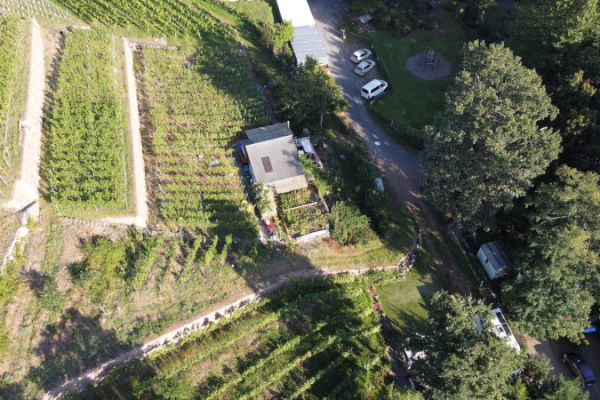 dji-0289-weinbergshuette-und-stellplatzC5707FB1-FBFC-0D2A-54B4-88BA700953CA.jpg